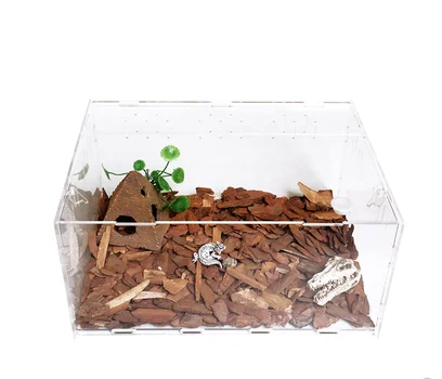 

Acrylic reptile box for spiders and lizards, Transparent