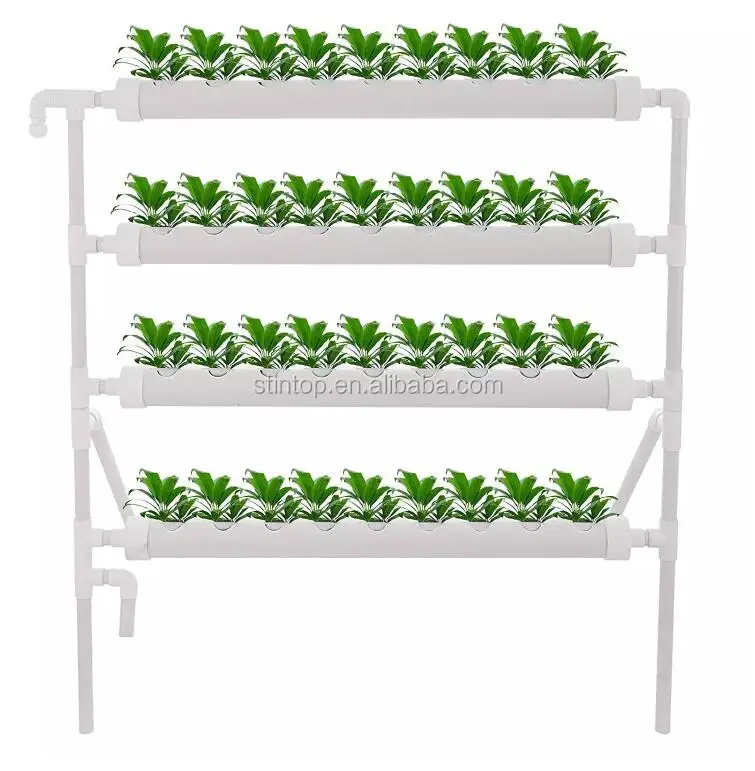Сайт grown
