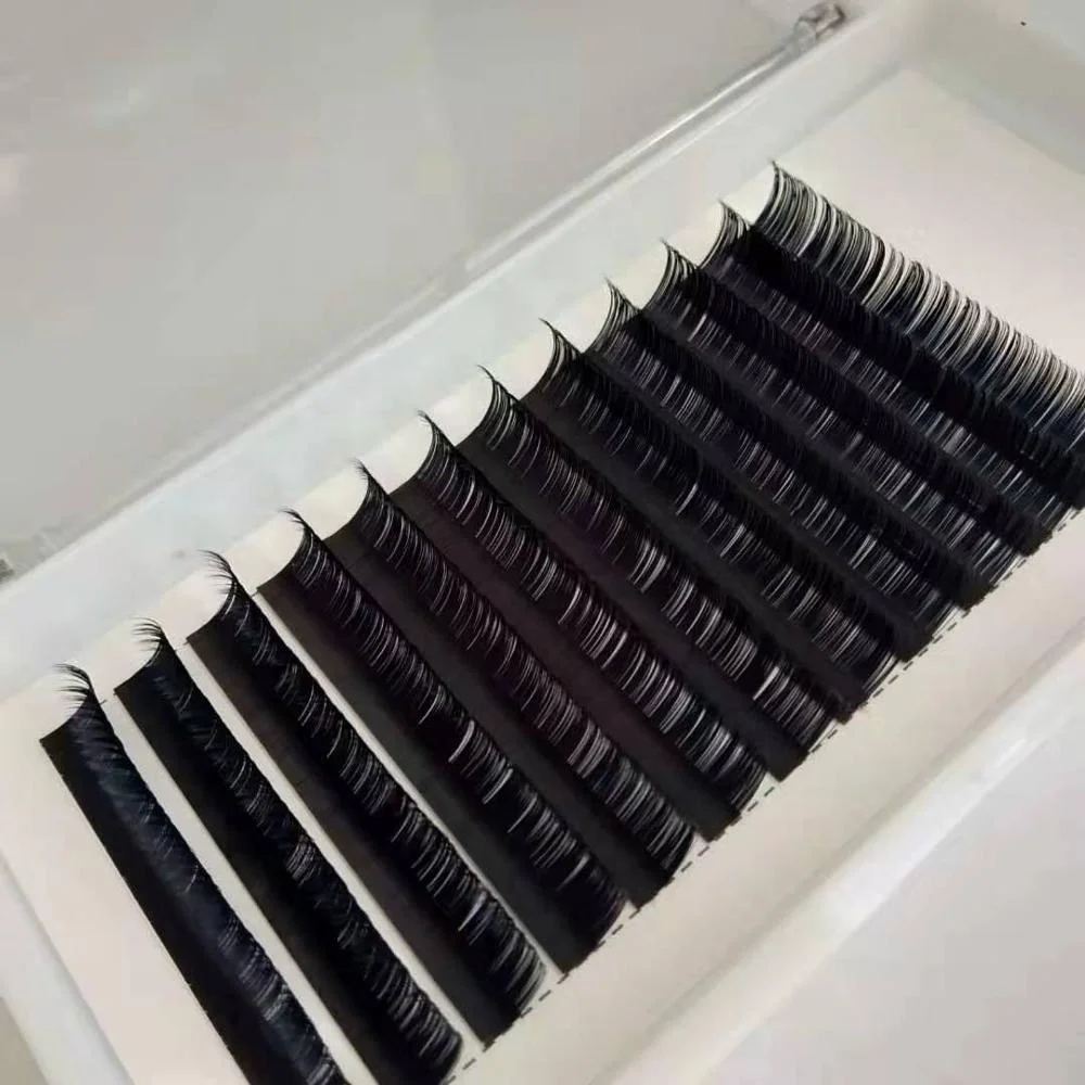 

Factory Directly Provide eyelash tray suppliers individual natural ellipse soft volume eyelash extensions, Custom color