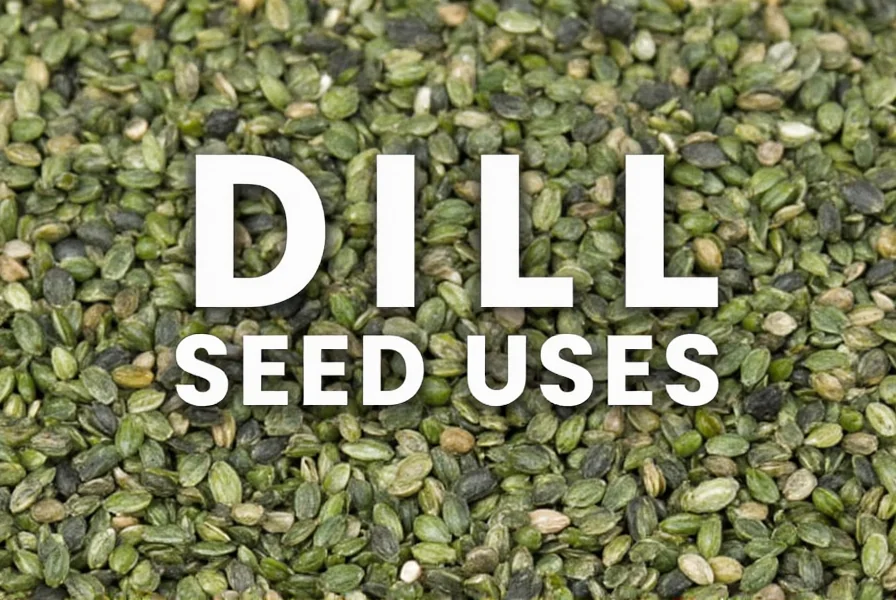 dill seed health