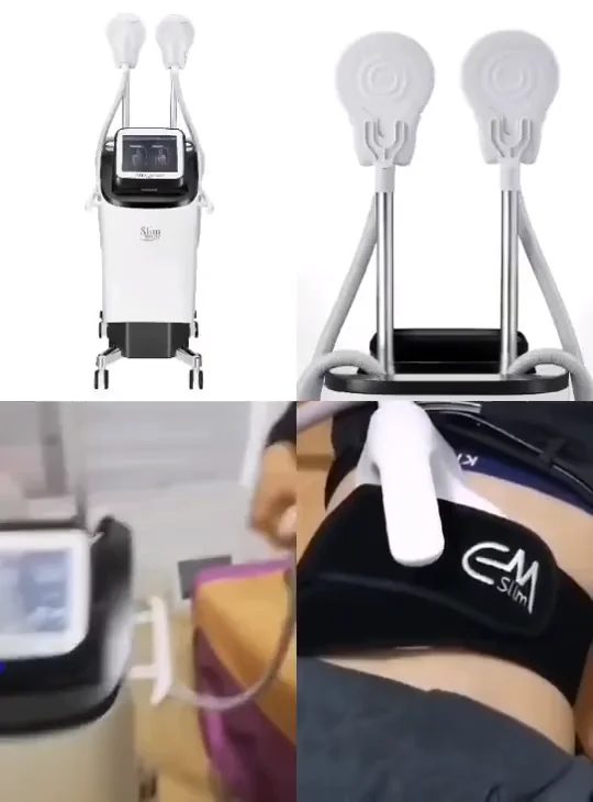Professional Fitness Ems Electro Muscle Stimulation Machine /body
