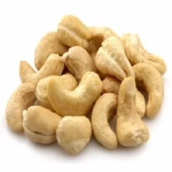 raw cashew nut suppliers