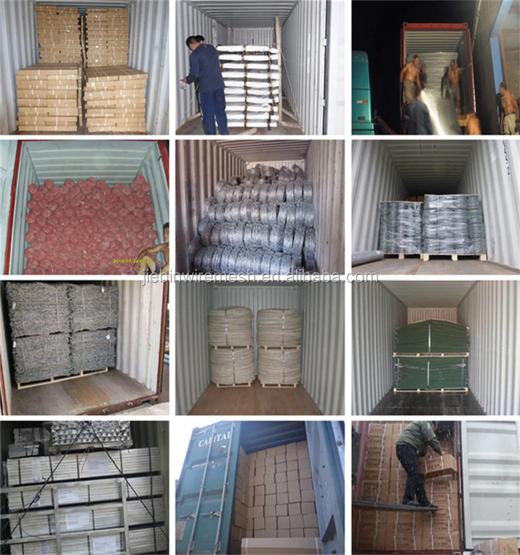 Wire Mesh.jpg