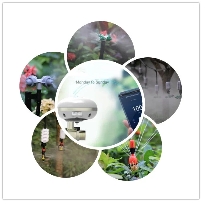 3_.web.png