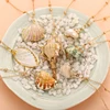 Fancy Natural Freshwater Scallop Shell Pendant Beach Gold Plated Women Necklace Jewelry