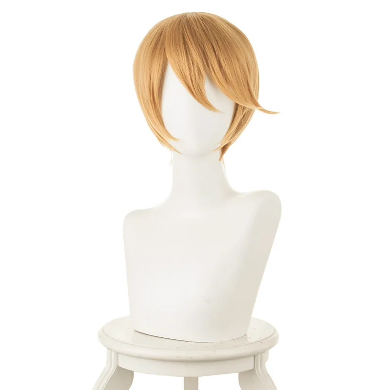 

Mixed Yellow Brown Short Hair 12 Inch Male Anime Comic Exhibition Cosplay Hair High Temperature Silk COS Wig, Pic showed