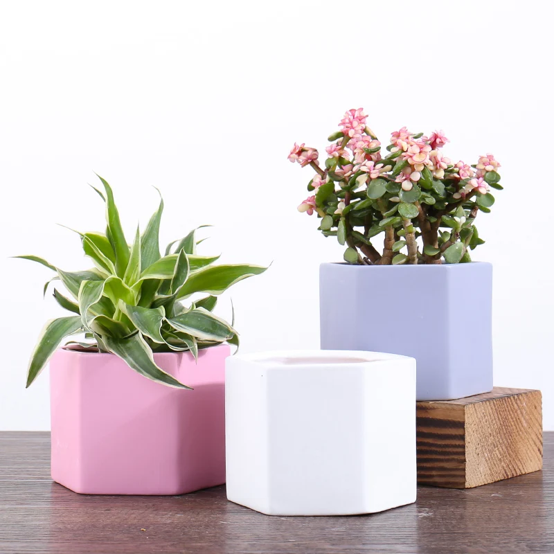 

modern simple Color hexagonal geometric ceramic flowerpot planter ceramic colorful flower pots & planters for home decor, White,grey,pink