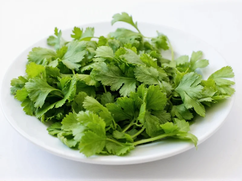 how do i dry cilantro