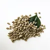specification world market organic and raw arabica green coffee beans