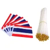 zhejiang Distinctive decorative windsocks and custom printed polyester checkered flag