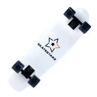 

Canadian Maple Skateboard 28 inch Length Mini Cruiser For Street