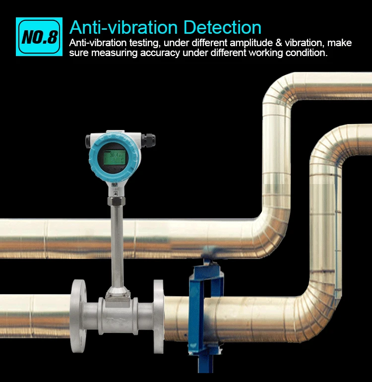 Vortex flowmeter (19)