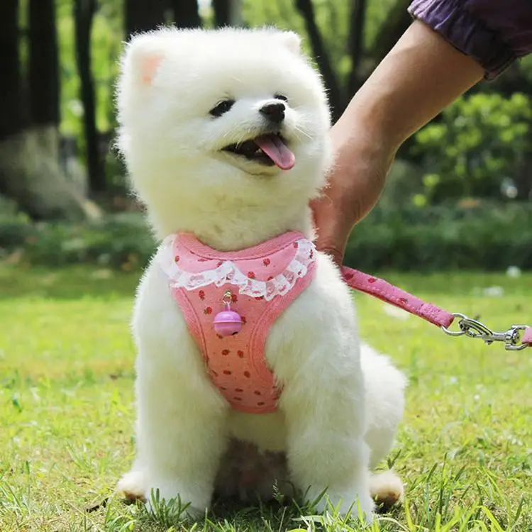 

Wholesale Summer Hot Pet Dog Vest Clothes Cooling Dog Harness Sets, Pink/ grey/