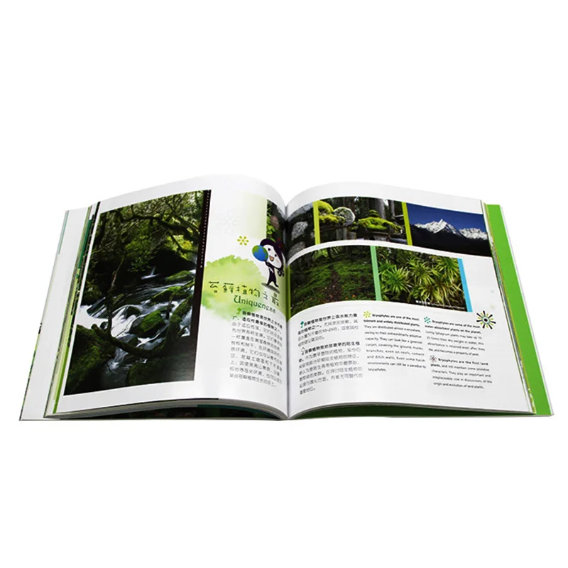 
Customized nice quality professional high grade book soft hard cover printing services Thread-stitched blinding factory price 
