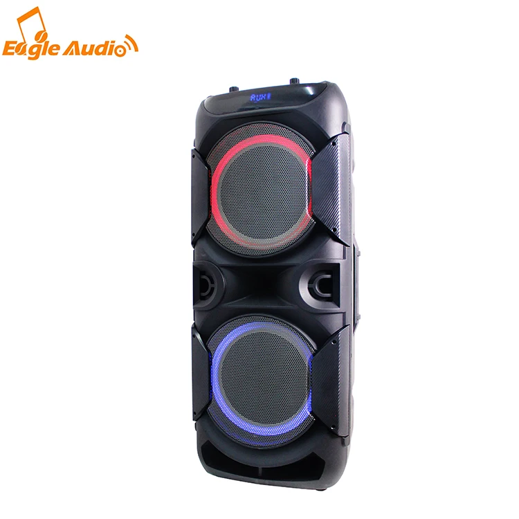 big power double 12 inch BT audio outdoor battery speaker - ANKUX.COM