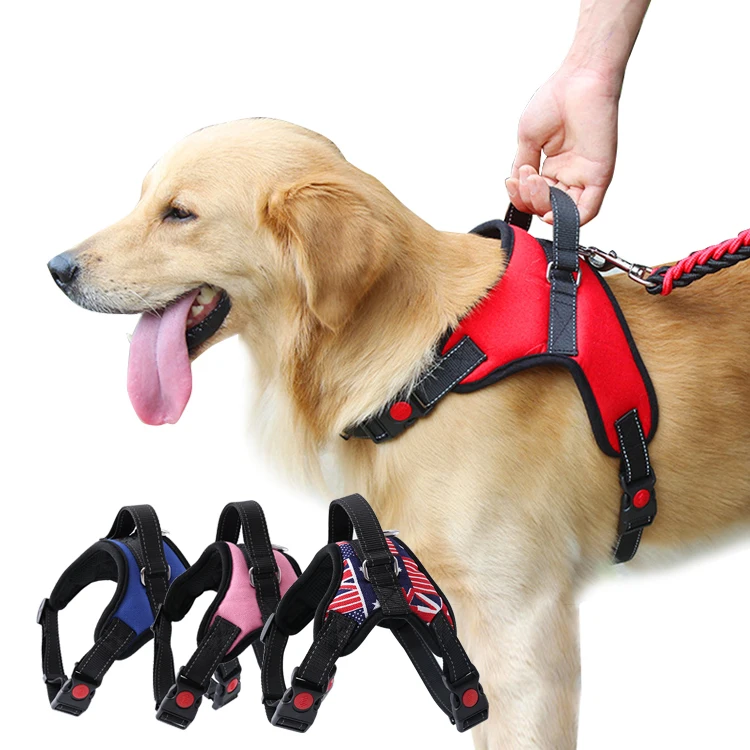 

Top Seller Designer Four Seasons No Pull Dog Harness