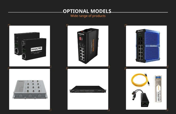 Optional models.jpg