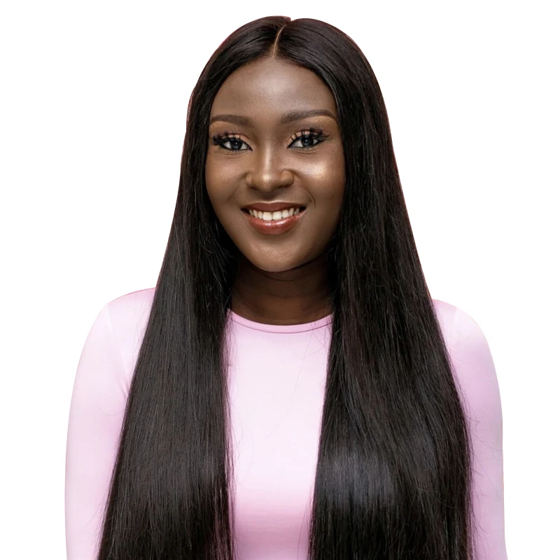 

Silky Straight Wave synthetic wigs ladies lace front wig