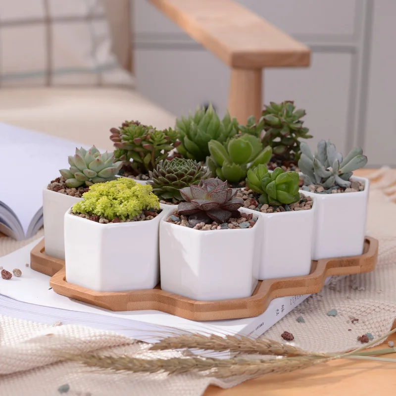 

Flower Plant Pot with Bamboo Tray for Indoors Outdoor Office Home 10 pieces (Hexagon)