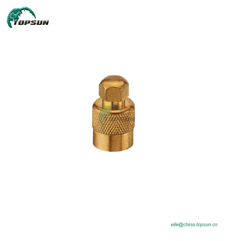 valve cap-VC-7-CU.jpg