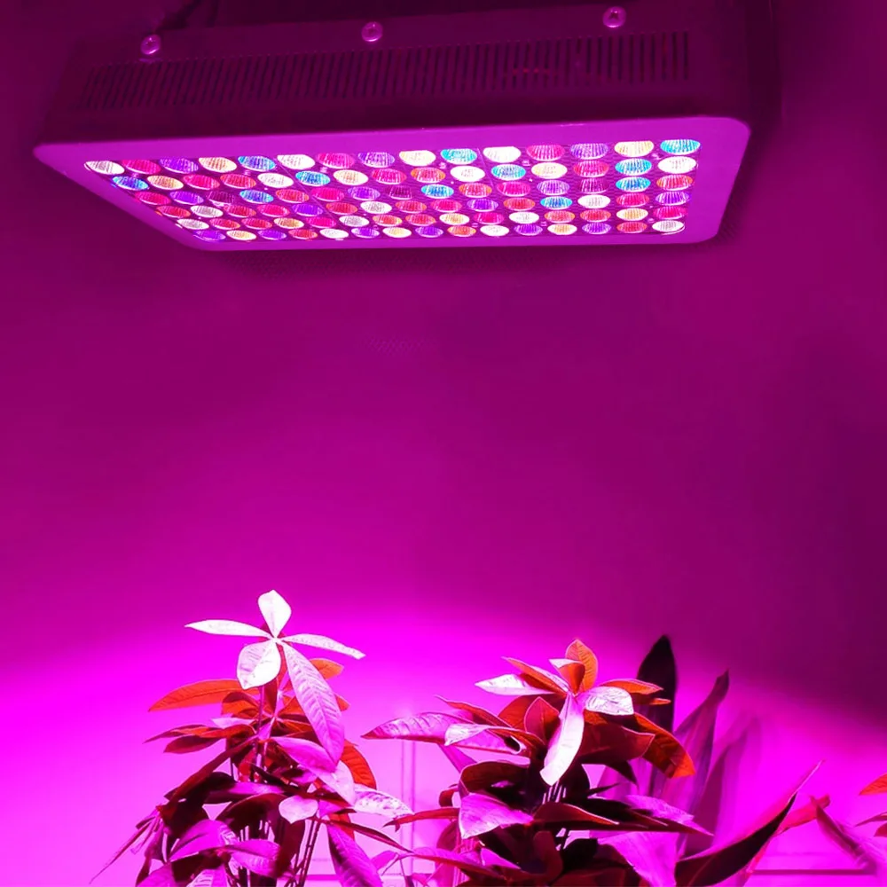 低价weixinli Gip 900w Led 生长灯全光谱 Buy 900 W 900 W Led 植物生长灯 900 瓦植物生长灯product On Alibaba Com 低价weixinli Gip 900w Led 生长灯全光谱 Buy 900 W 900 W Led 植物生长灯 900 瓦植物生长灯product On Alibaba Com
