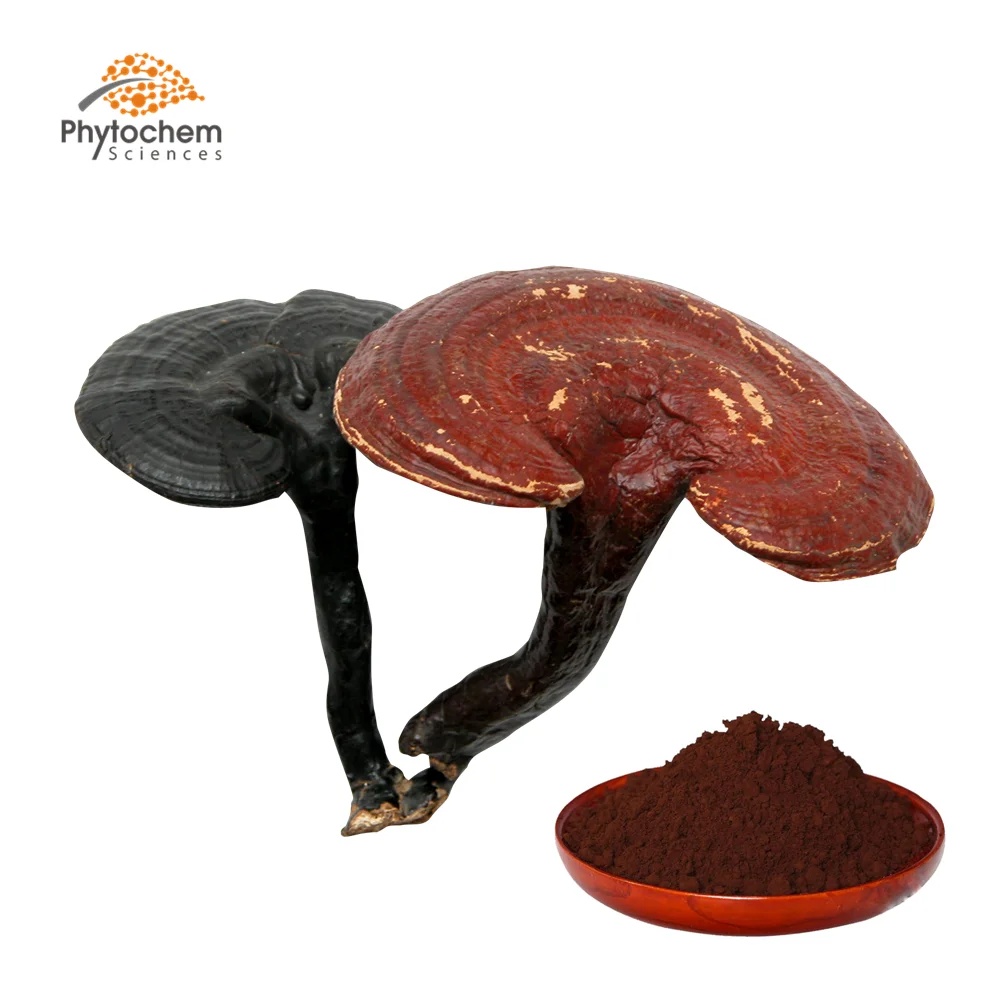 reishi (5).png