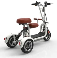 

CC 3 Wheel 400W 48W lithium battery electric scooter