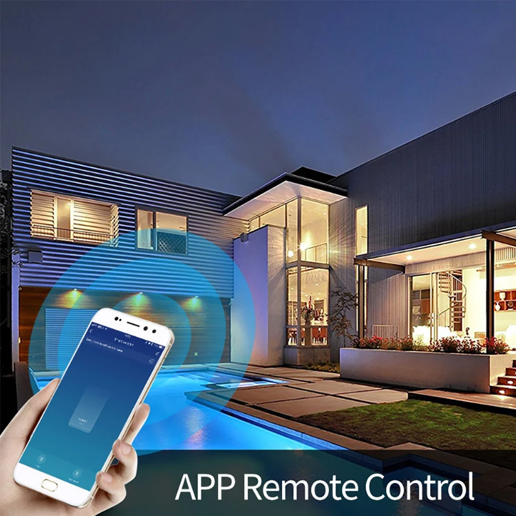Alexa WiFi Light Switch, Smart Light Switch for Alexa and Smartphone, Tempered Remote Control - ANKUX.COM