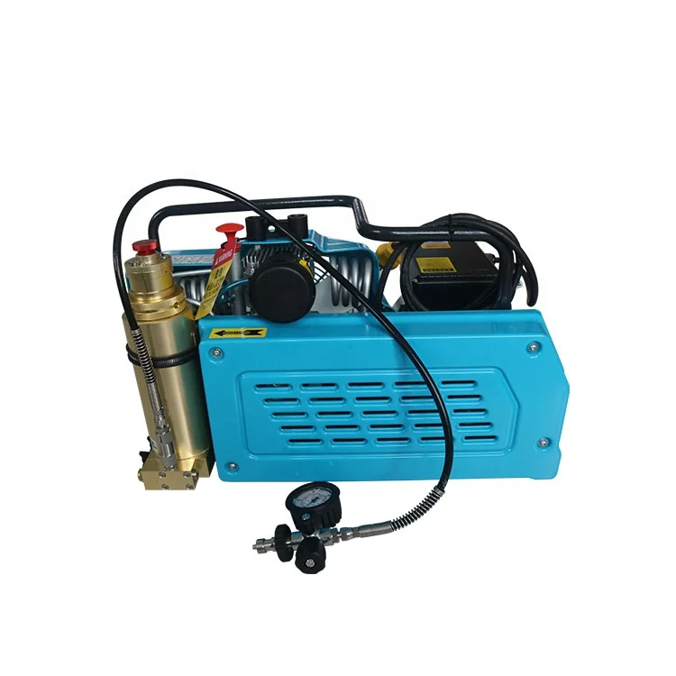 
Cheap High Pressure 100 L air Compressor for breathing apparatus 