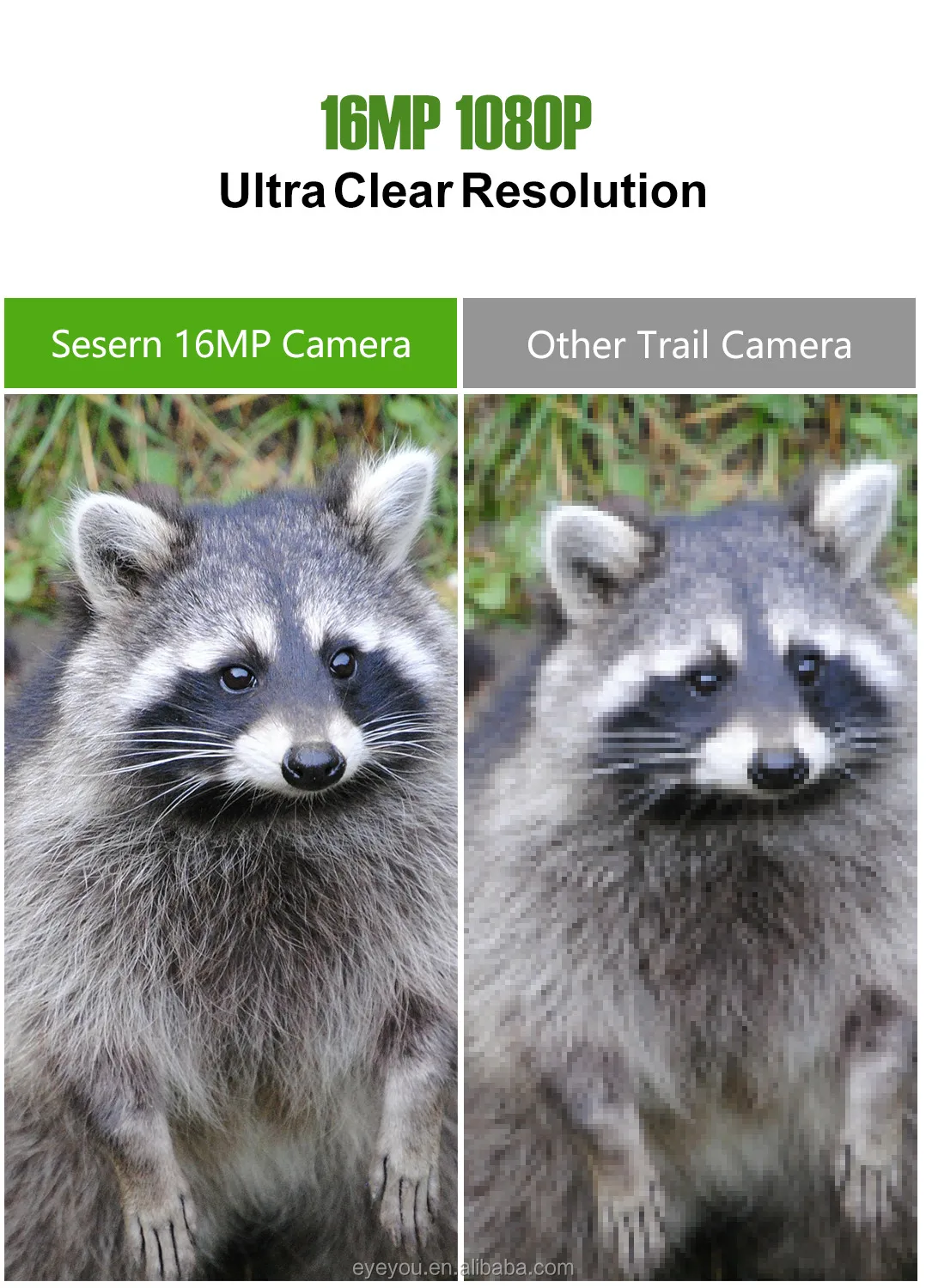 clear resolution.jpg