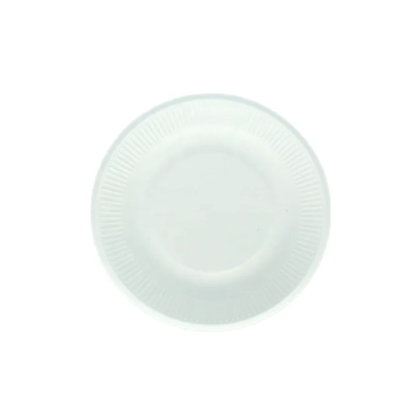 

Degradable Bagasse Food Container Quantity Birthday Party Paper Plates for Pizza