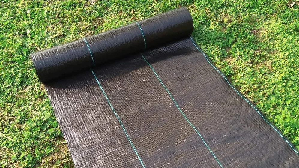 Ground Cover Silt Fence Black Pp Fabric Roll For Agriculture ...