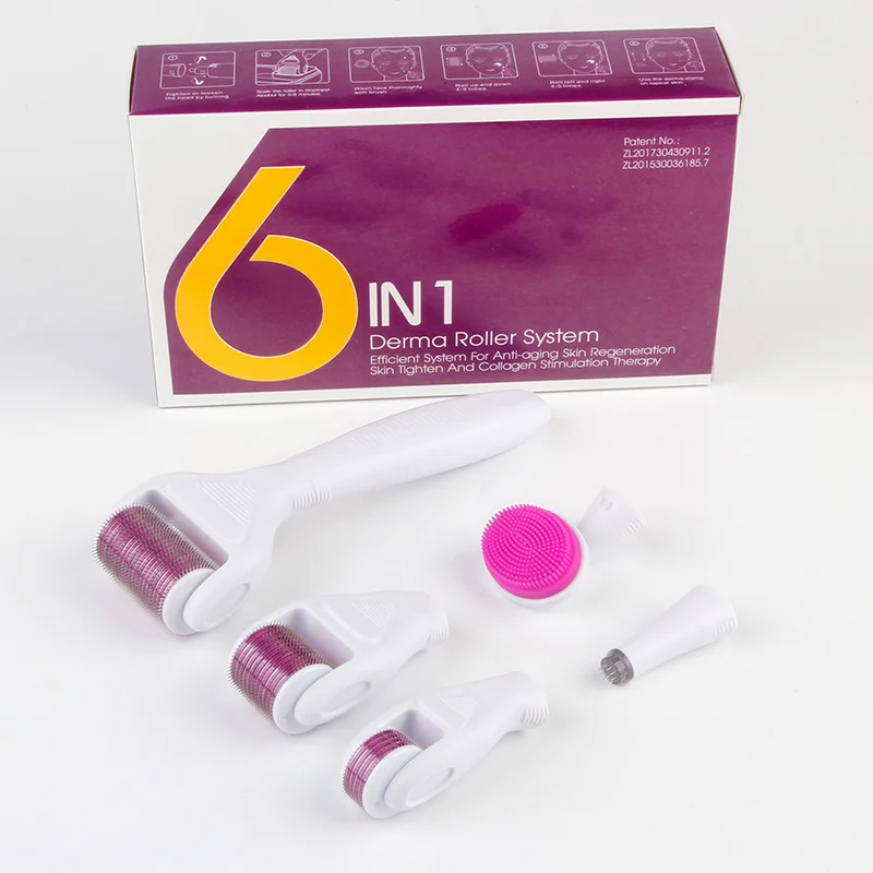 

Wholesale 6 in 1 Derma Roller Kit for Face and Body 0.25mm and 0.3mm Micro Needle Dermaroller with 5 Replaceable Heads