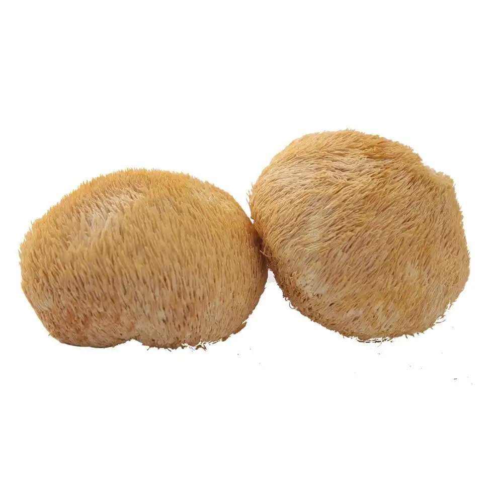 cheap price hericium polysaccharide powder 30% for sale