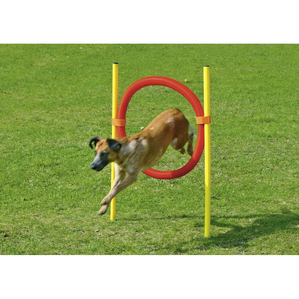 

Pet Dog Agility Tire Jump Hoop Leap Plastic Tube, Yellow and red