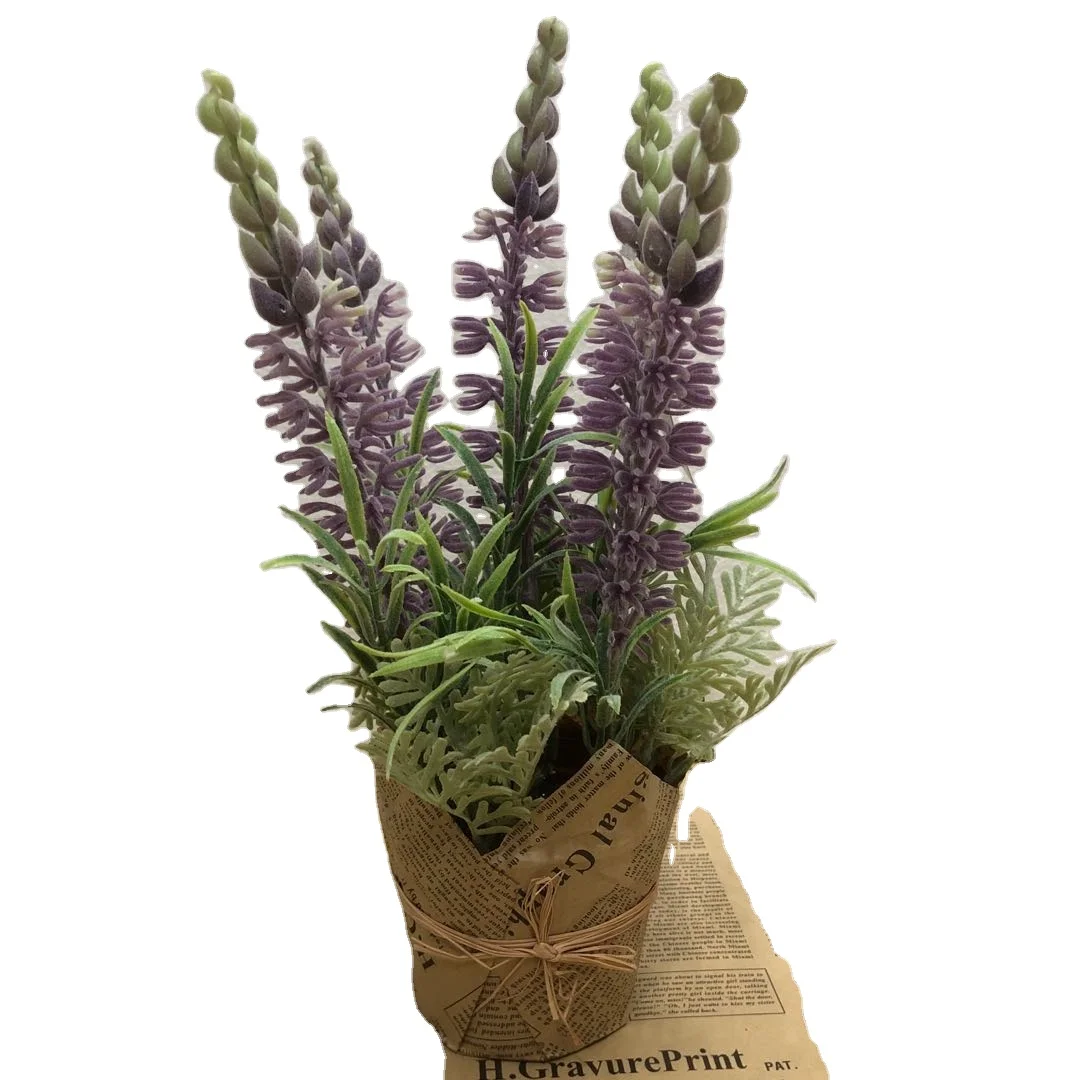 

Small paper basin with large lavender tree bonsai for home garden decoration, Customized