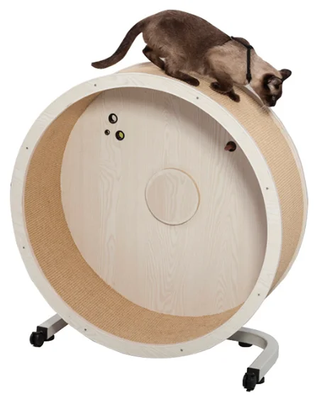 
Custom wholesales cat exercise wheel 