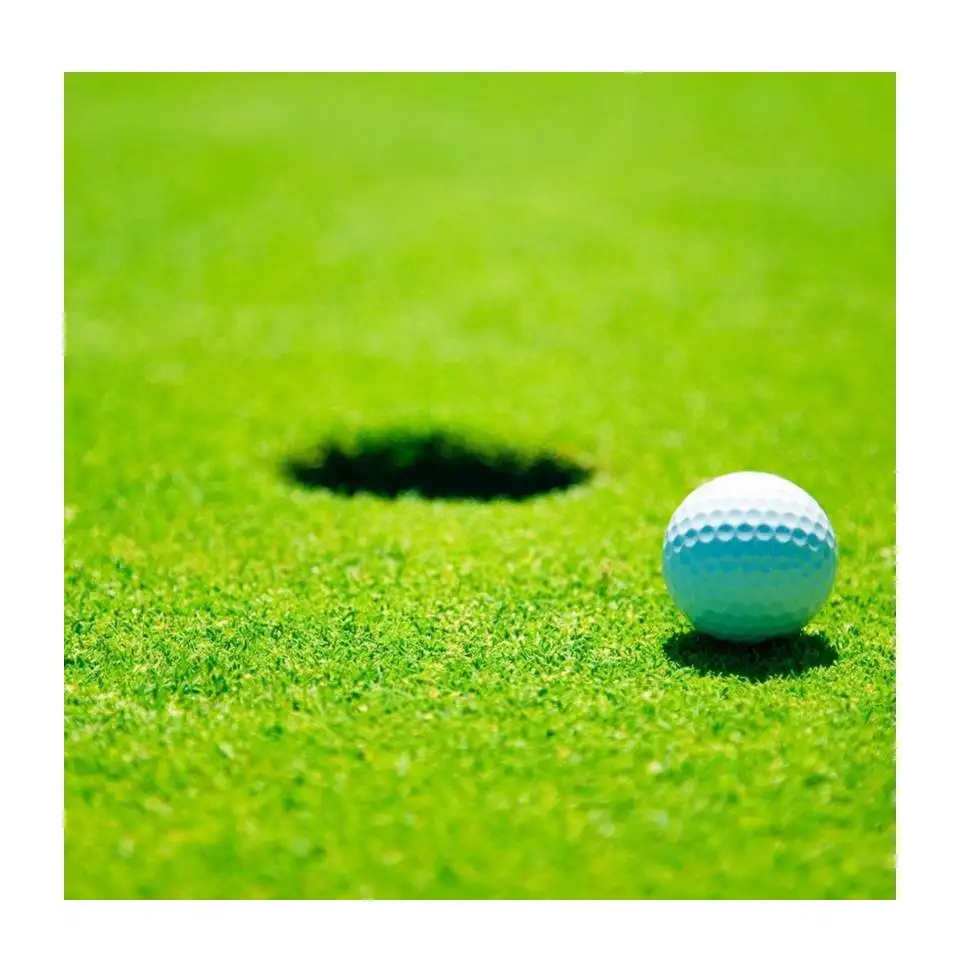 

5500Dtex turf synthetic hottest artificial grass for golf field