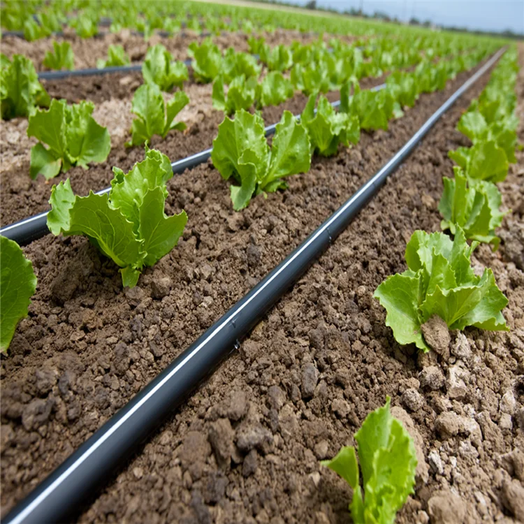 中国供应商光滴灌 pip 与 hdpe