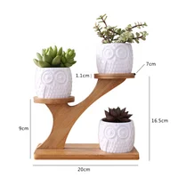 

Small Cactus Succulent White Ceramic Plant Pots with Bamboo Tray Planter Simple Flower Pots with Drainage Holes