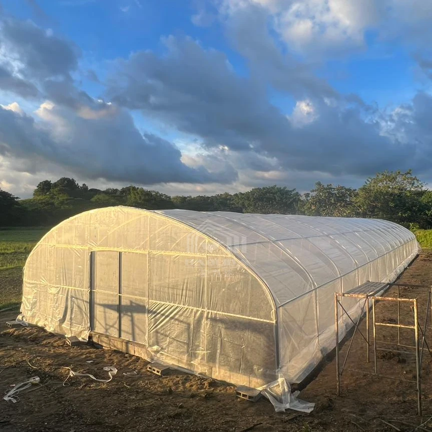 

Stocked 10x50m commercial agricultural vegetable hothouse high tunnel greenhouse for sale