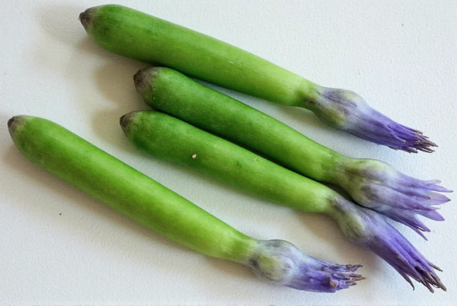 Blauer Ingwer: Eigenschaften, Verwendung & Unterschiede zum Gelben