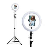 

Photography Dimmable Fill Light 10 inch LED Ringlight with 160cm Bracket Phone Holder