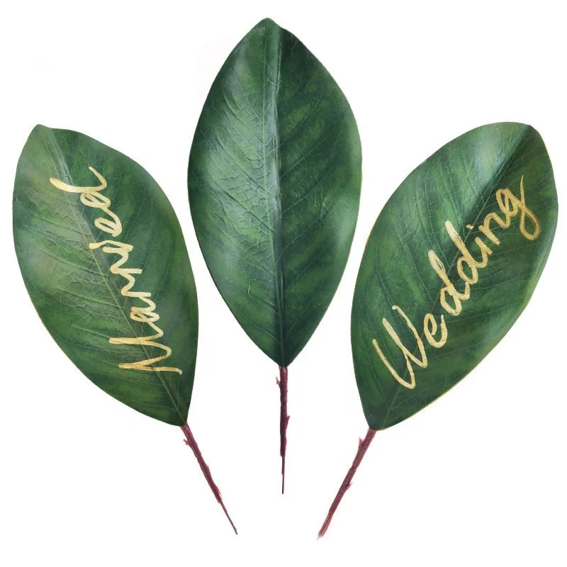 

Amazon hot sale Wedding Decorative wedding DIY Guest Writing Name Artificial Magnolia Leaves, Multi colors