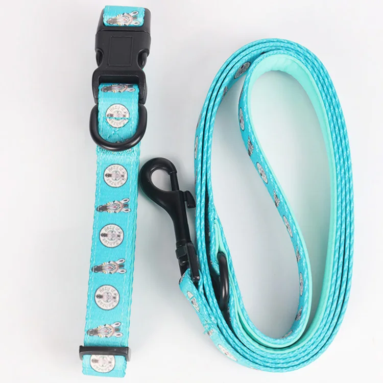 

Pet Products Supply Strong Soft Dog Collars Leash New Fashion Pet Lead With Neoprene Collar For Wholesale