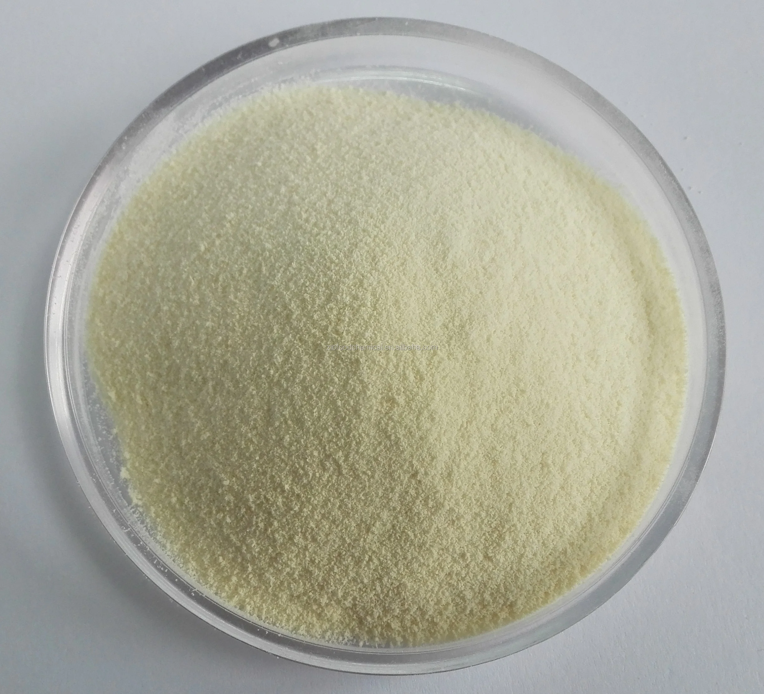 arabic gum 13.jpg