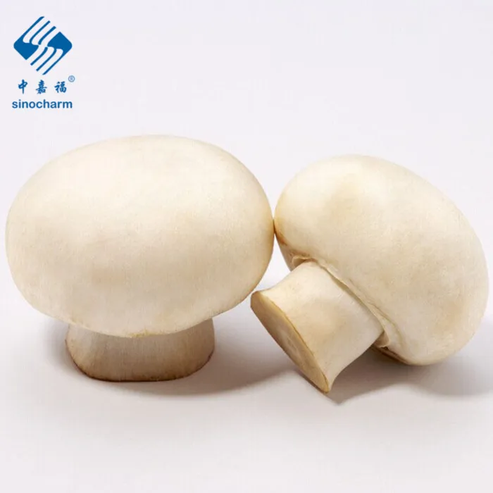 
New Crop Delicious White Frozen Mushroom Champignon Frozen Shiitake 