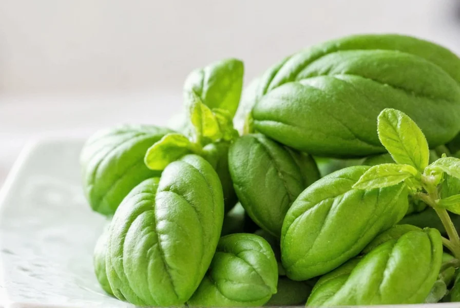 Basil bunch hanging to dry indoors