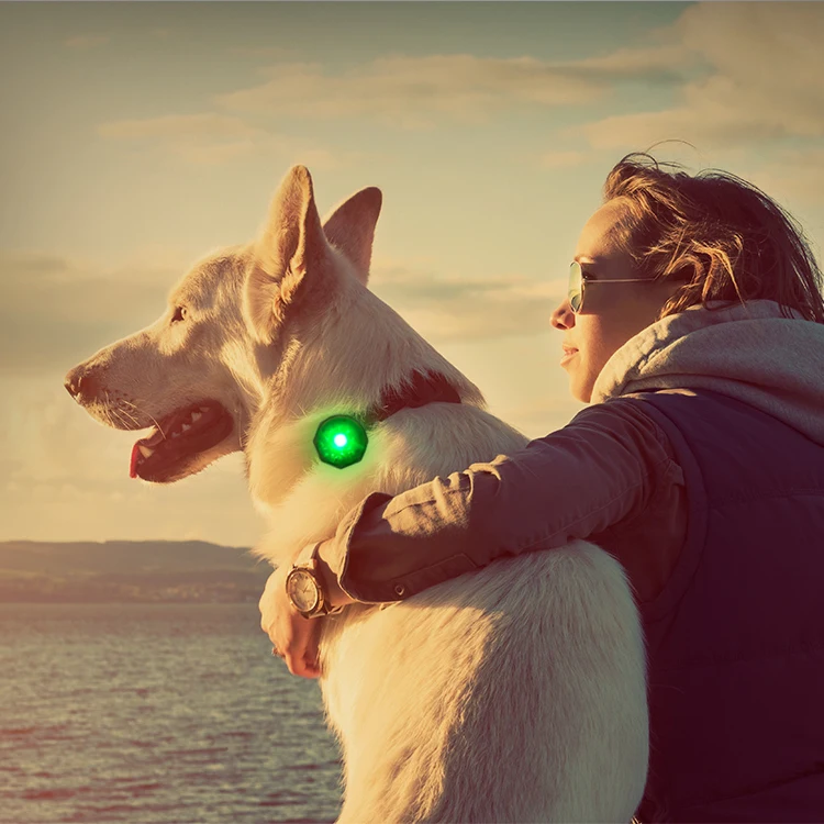 

LED Safety Clip On Pendant Light Strobe Warning Flashing LED Pet Collar Light with Jewel Design