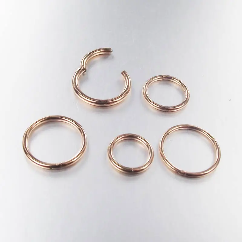 

Rose Gold Surgical Steel Hinged Clicker Segment Hoop Nose Ring Lip Ear Cartilage Helix Body Piercing Jewelry, Gold color